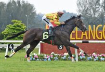 雪兰莪金杯巅峰对决