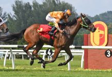 “天马行空”剑指胜门