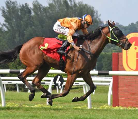 “天马行空”剑指胜门