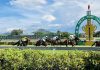Perak Track Spy: Saturday, 25 July