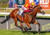 Legal Counsel Primed to Bounce Back in HKJC Champions Cup