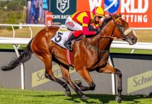 Legal Counsel Primed to Bounce Back in HKJC Champions Cup