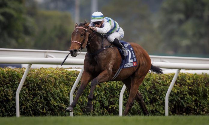 HORSE RACING 2024: HKIR DEC 08