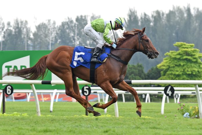 ELITE-PRINCE-1