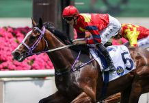 “康乐高球”鸿运高飞