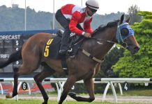 “陈氏英雄”蓄势反弹