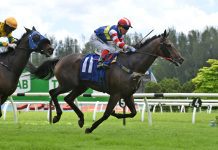 “红太阳”持续闪耀