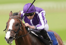 Diego Velazquez sold ahead of Jacques le Marois start