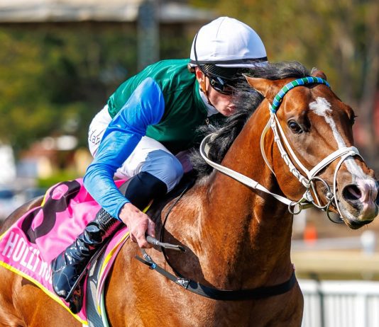 “神火箭”瞄准连捷