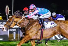 霍春归国力争焦点赛