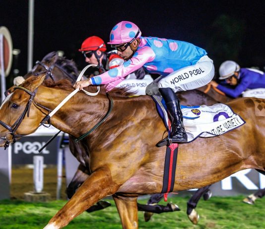 霍春归国力争焦点赛