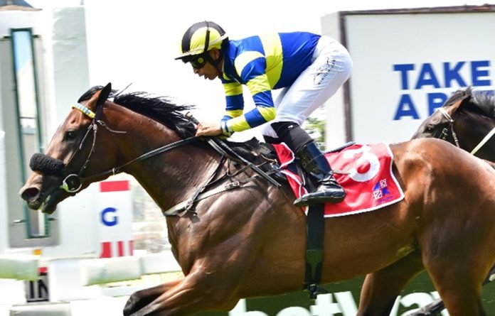 Jockey Serino Moodley 骑师穆礼