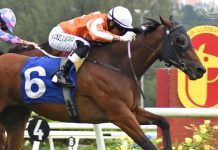 Rising Stars to Clash in Merdeka Cup