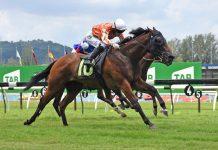 双星争锋国庆杯