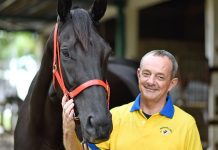 “银河酒吧”首捷在望