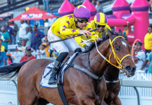 Ziyasha has much in his favour