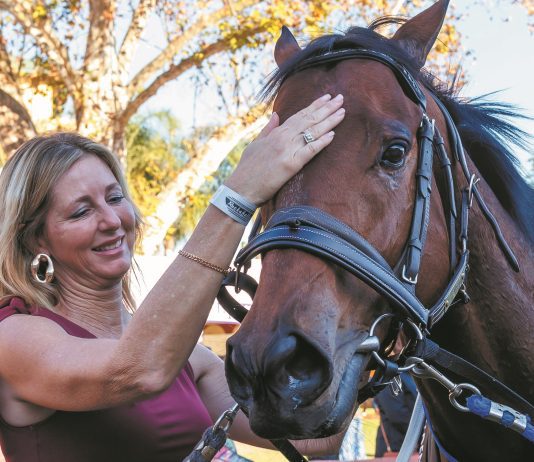 “罗岚格罗”缩程作战