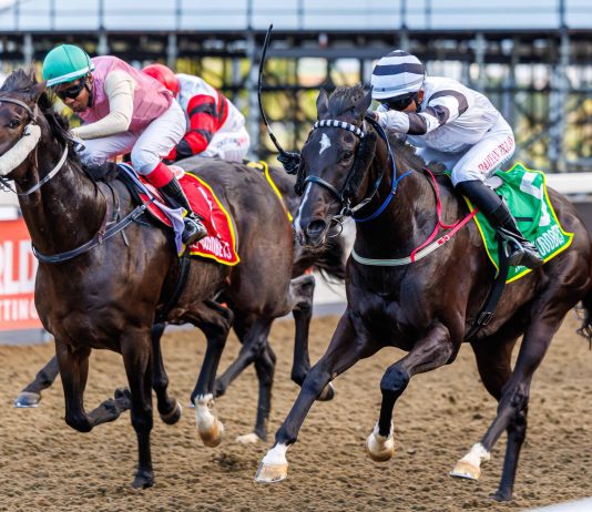 “丹努比”掌握大局