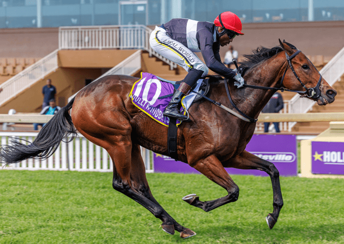 HEIRARCHY “黑然池” - Candiese Lenferna