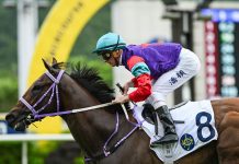 “骏马之曲”再奏凯歌