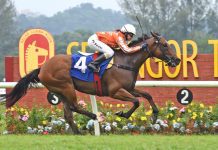 “太平蝠王”一放难追