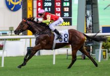 “祝愿”摘下三级赛庆典杯