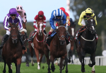 O’Brien declares big two for Futurity Trophy clash