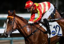 Newnham increases lead in trainers’ championship with double