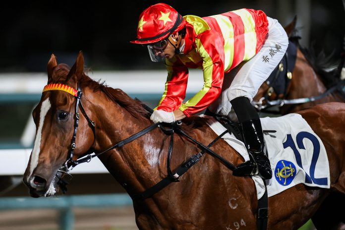 20251030_Pic 1 30 Oct