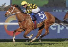 The Golden Eagle Preview