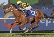 金鹰锦标赛赛事前瞻