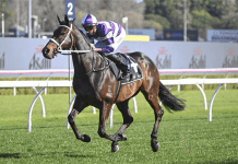 Get Ready for One of the Biggest Days of the Sydney Everest Carnival – Live from Rosehill