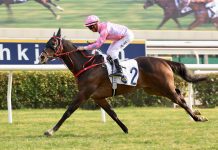 “真心传奇”蓄势待发