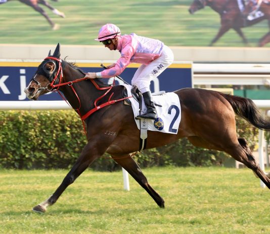 “真心传奇”蓄势待发