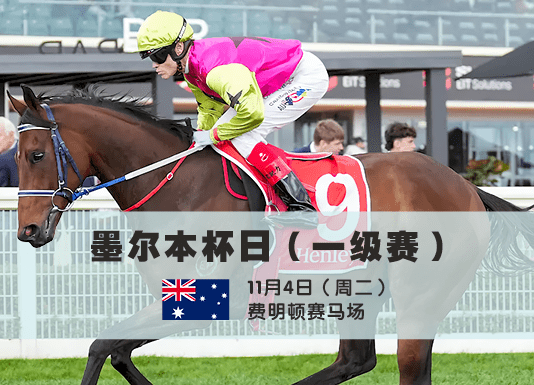 世界焦点汇聚墨尔本:让全球停下的赛事