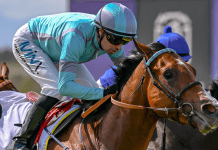 The road to success starts now