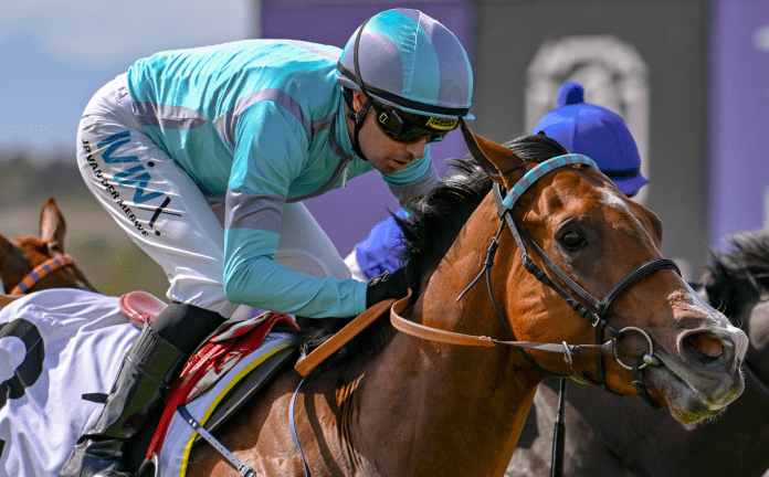 RANDOLPH HEARST-4546