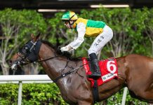 “安康万里”蓄势待发