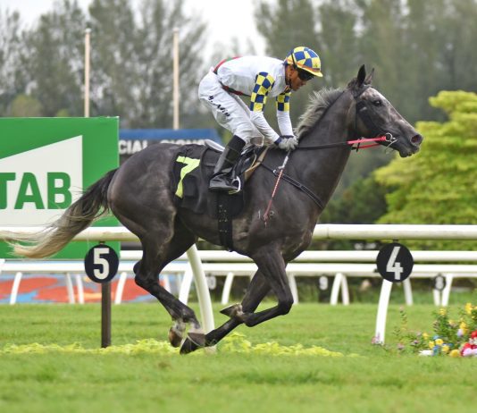 “白色强人”打破僵局