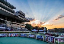 Summer Cup hopefuls in last chance showdown