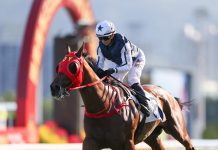 Badel bullish on Fast Network’s Premier Bowl prospects as weights fall kindly