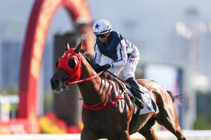 pic1_20251023STpreview