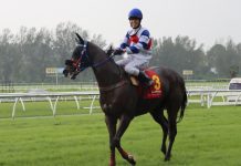 “谢了”再显雄风