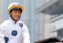 “飞龙在天”乘胜追击