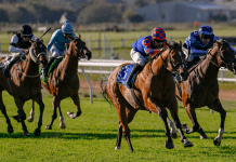 Happy Verse to provide head to the Guineas with a cheer