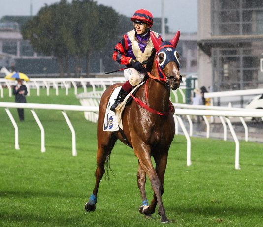 “越骏欢欣”力争佳绩