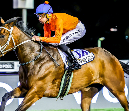 “高卢国王”力争再胜