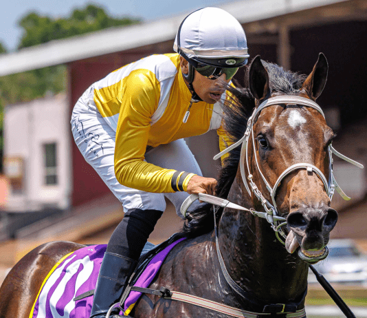 Major Tommie to take the salute