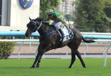 “葳莉非凡”状态出色