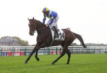 “方特纳”有望攻下首项黑体赛头衔